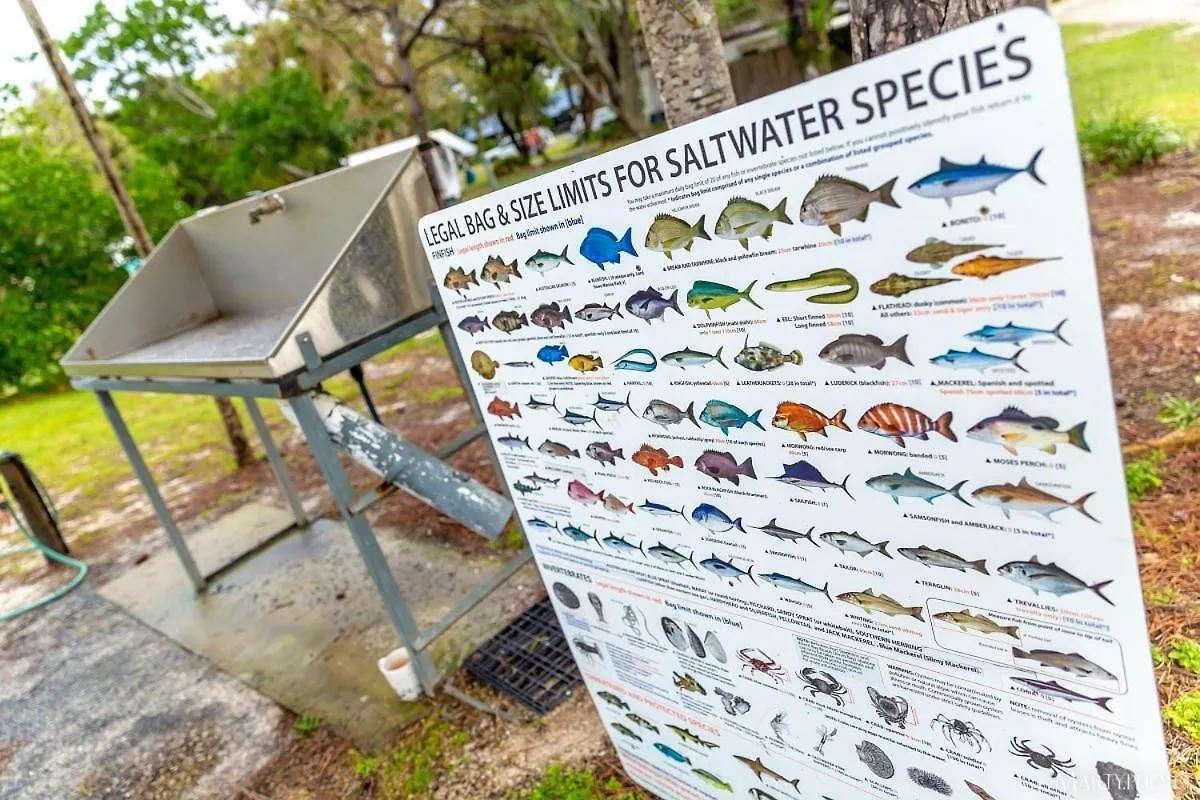 *** Отель Ballina Beach Nature Resort Австралия