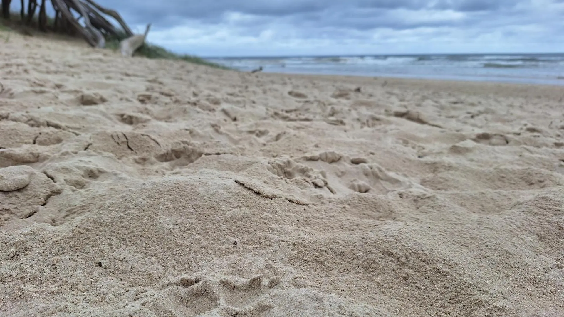 Ballina Beach Nature Resort